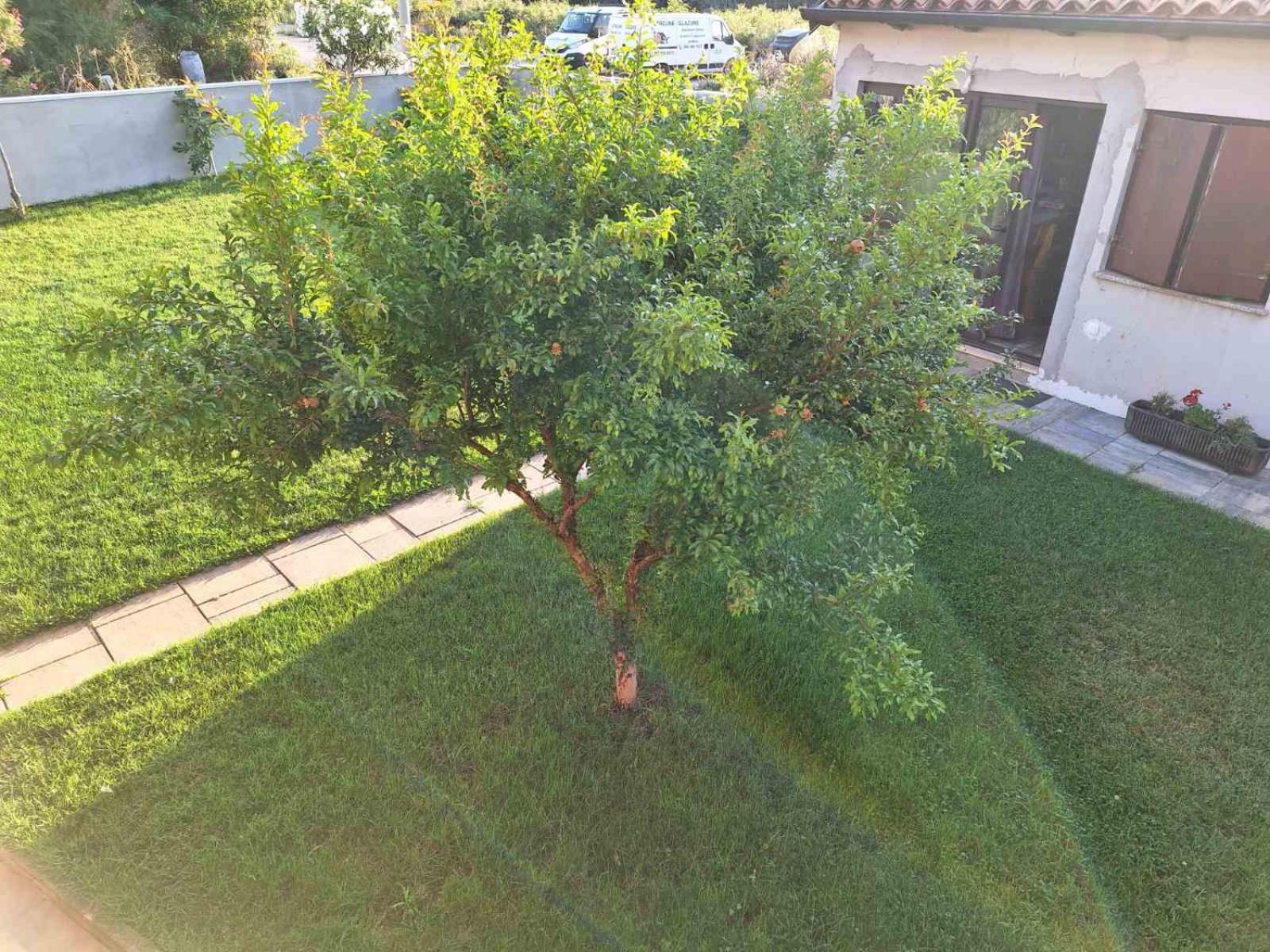Apartments Ines Pula Exterior photo